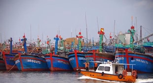 Tàu thuyền của ngư dân neo đậu trú bão. Ảnh: TTXVN