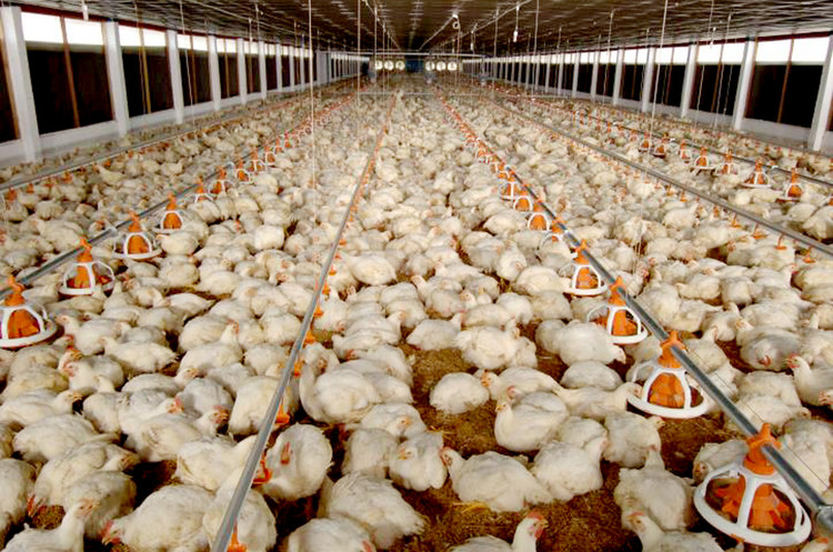 Ảnh chỉ mang tính minh họa. Nguồn Internet