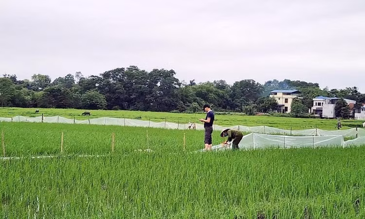 Bộ TN-MT yêu cầu Thái Nguyên báo cáo việc đất chưa "sạch" đã bán đấu giá