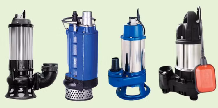 Ảnh chỉ mang tính minh họa. Nguồn Internet