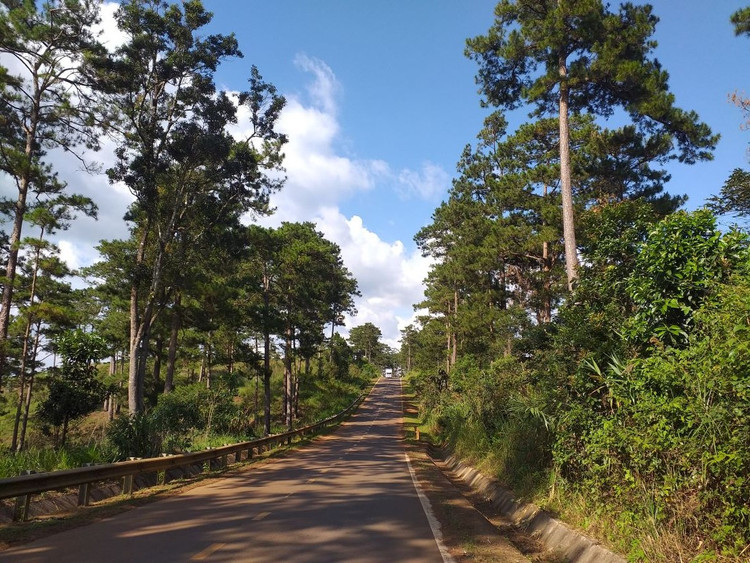 Ảnh chỉ mang tính minh họa. Nguồn Internet