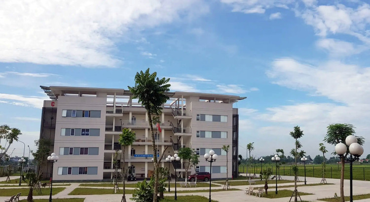 Ảnh chỉ mang tính minh họa. Nguồn Internet