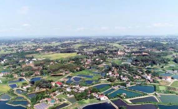 Ảnh chỉ mang tính minh họa. Nguồn Internet