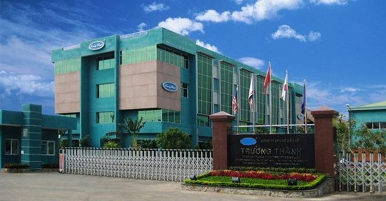 Kết quả doanh thu Tập đoàn Kỹ nghệ gỗ Trường Thành đạt hơn 342 tỷ đồng. Ảnh chỉ mang tính minh họa. Nguồn Internet