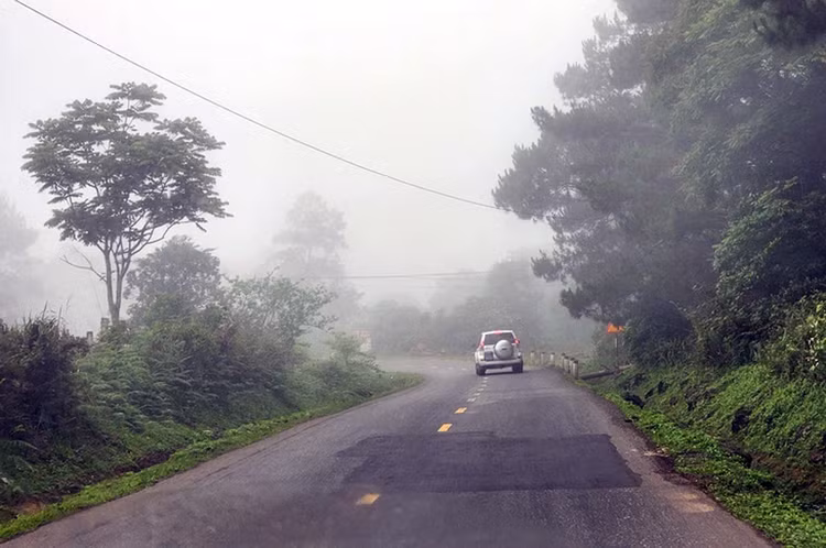 Ảnh chỉ mang tính minh họa. Nguồn Internet