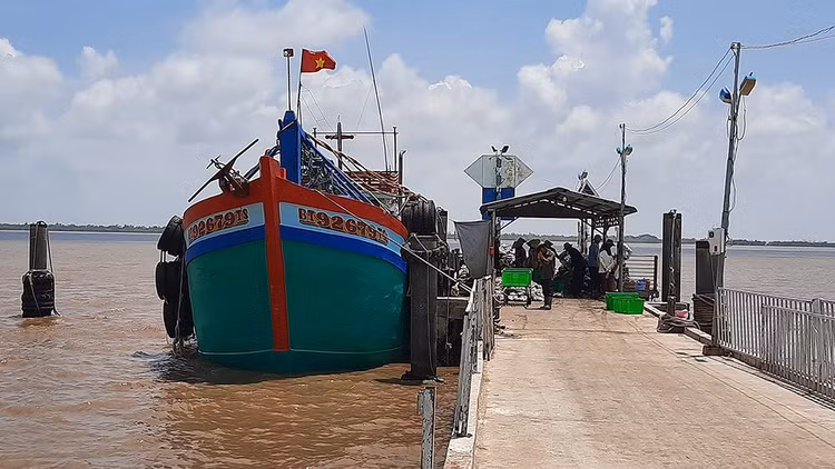 Ảnh chỉ mang tính minh họa. Nguồn Internet