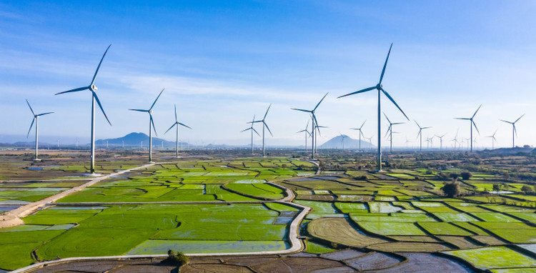 Ảnh chỉ mang tính minh họa. Nguồn Internet