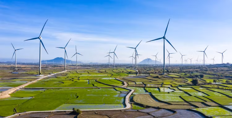 Ảnh chỉ mang tính minh họa. Nguồn Internet