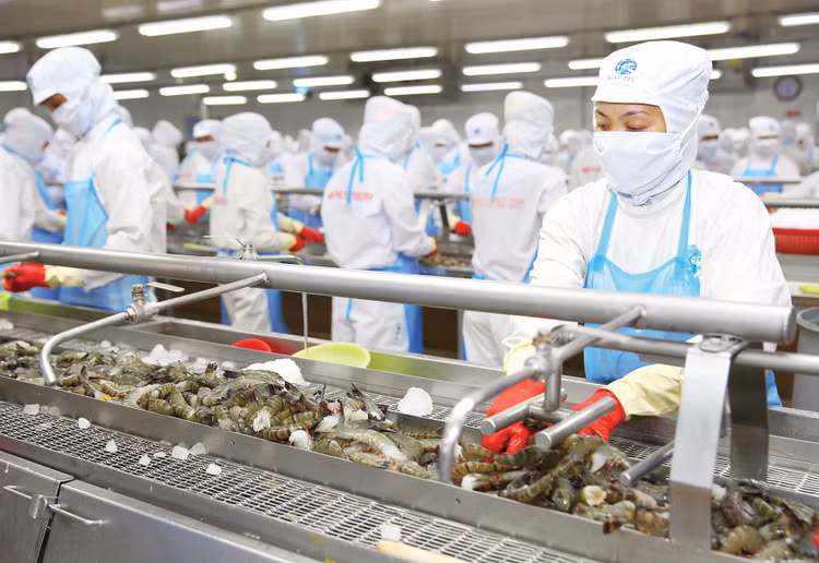 GDP 6 tháng đầu năm 2023 tăng 3,72%, khá thấp so với GDP cùng kỳ giai đoạn 2011 - 2023. Ảnh: Lê Tiên