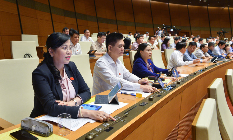 Các đại biểu Quốc hội tham gia biểu quyết 