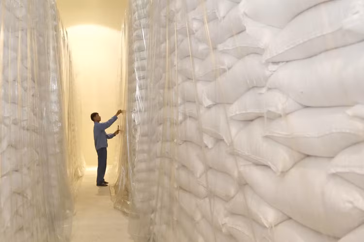 Hơn 7.000 tấn gạo hỗ trợ nhân dân dịp Tết Nguyên đán Giáp Thìn và giáp hạt năm 2024 được xuất cấp từ nguồn dự trữ quốc gia