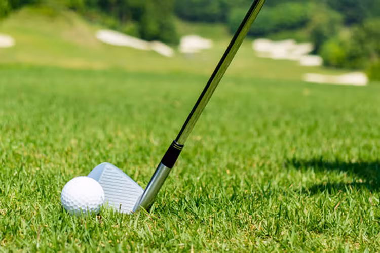 Ảnh chỉ mang tính minh họa. Nguồn Internet