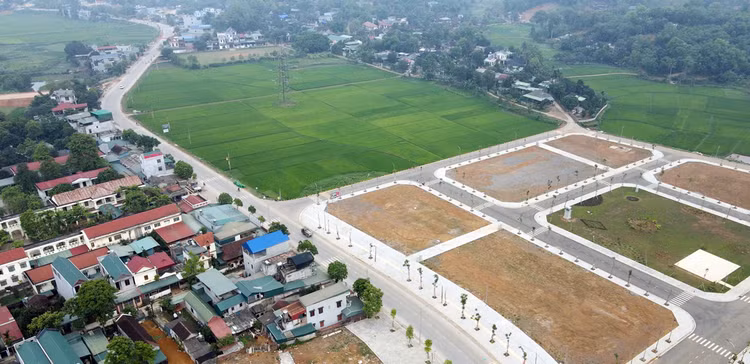 Ảnh chỉ mang tính minh họa. Nguồn Internet