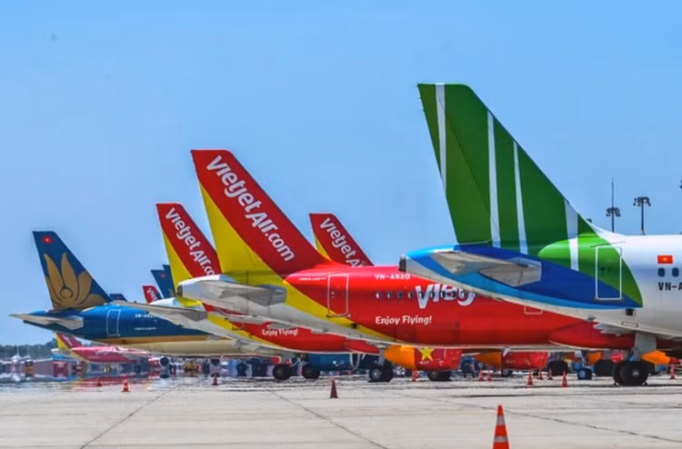 Ảnh chỉ mang tính minh họa. Nguồn Internet