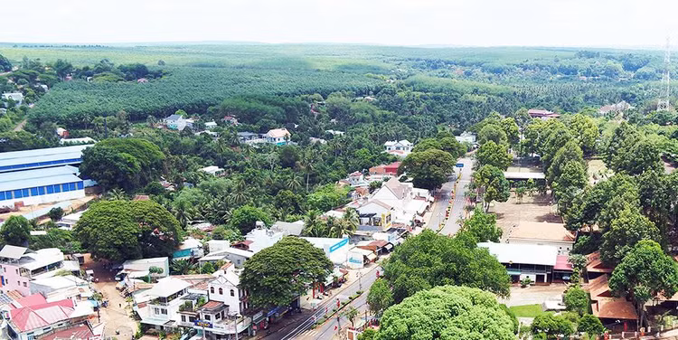 Ảnh chỉ mang tính minh họa. Nguồn Internet