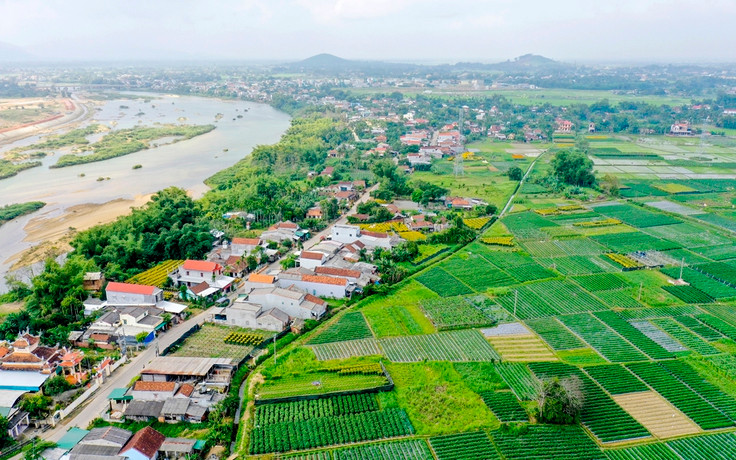 Ảnh chỉ mang tính minh họa. Nguồn Internet