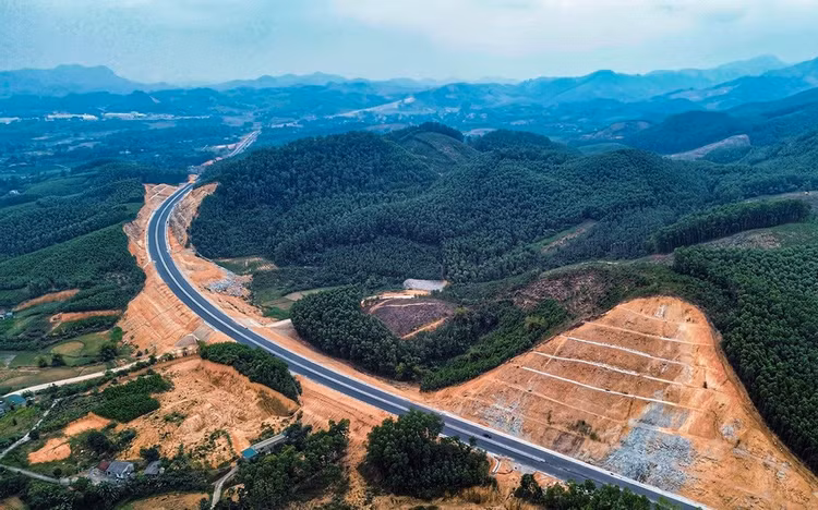 Ảnh chỉ mang tính minh họa. Nguồn Internet