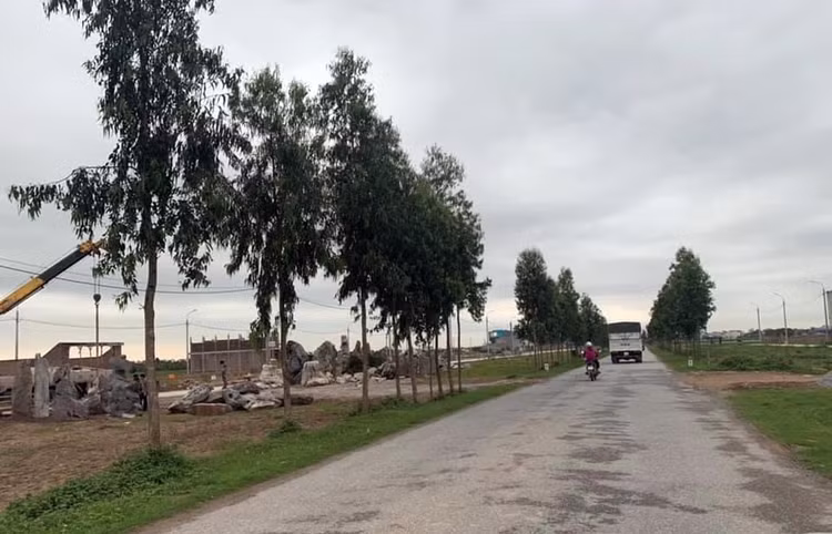 Ảnh chỉ mang tính minh họa. Nguồn Internet