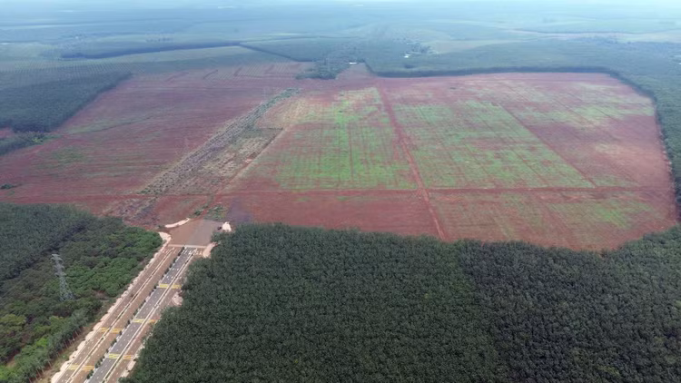 Đấu giá khu đất Cụm công nghiệp Long Giao, giá khởi điểm hơn 788 tỷ đồng