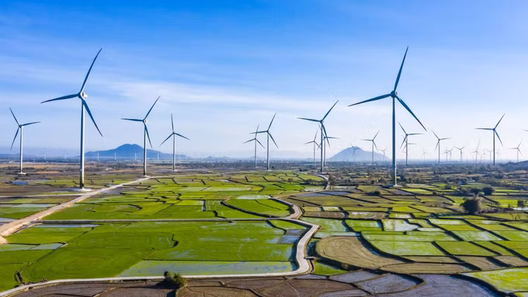 Ảnh chỉ mang tính minh họa. Nguồn Internet