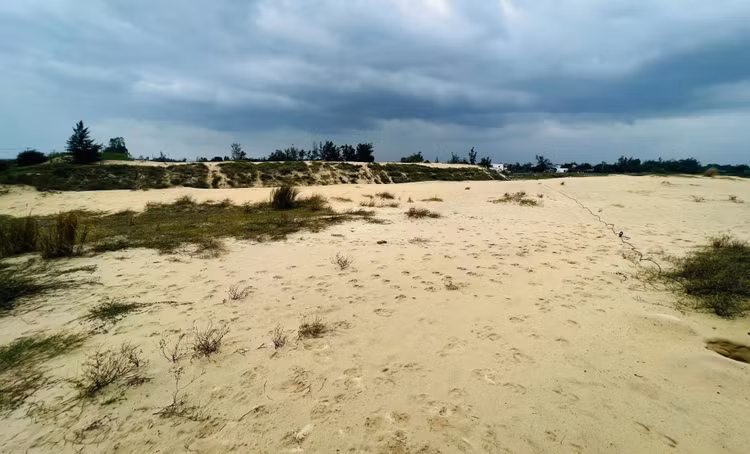 Ảnh chỉ mang tính minh họa. Nguồn Internet