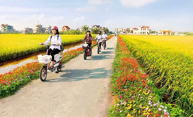 Kết quả tổng điều tra nông thôn, nông nghiệp năm 2025 được công bố chính thức vào tháng 3/2026