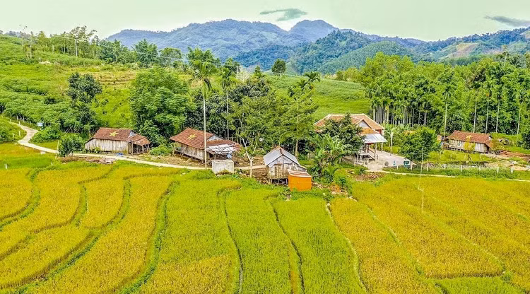 Ảnh minh họa: Internet