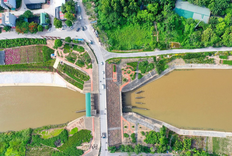 Ảnh chỉ mang tính minh họa. Nguồn Internet