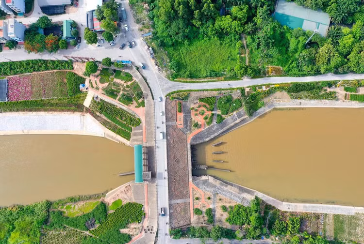 Ảnh chỉ mang tính minh họa. Nguồn Internet