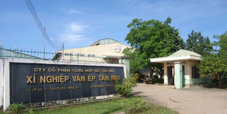 Đại hội đồng cổ đông Công ty CP Tổng hợp Gỗ Tân Mai vừa thông qua tờ trình bán tài sản trên đất tại Xí nghiệp Ván ép Tân Mai