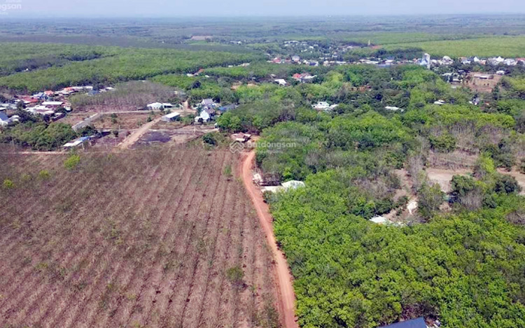 Ảnh chỉ mang tính minh họa. Nguồn Internet