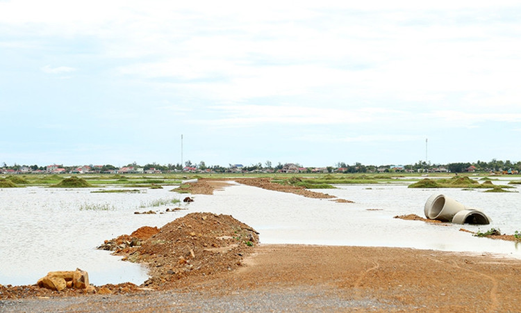 Ảnh chỉ mang tính minh họa. Nguồn Internet