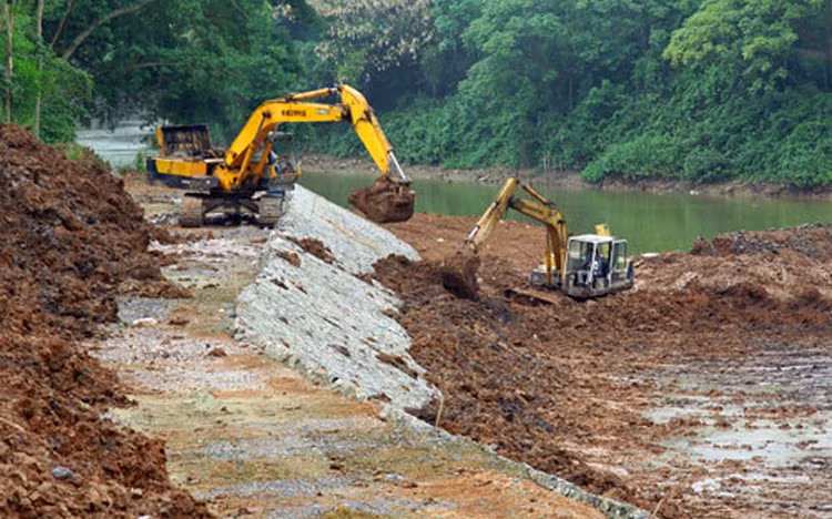 Ảnh chỉ mang tính minh họa. Nguồn Internet