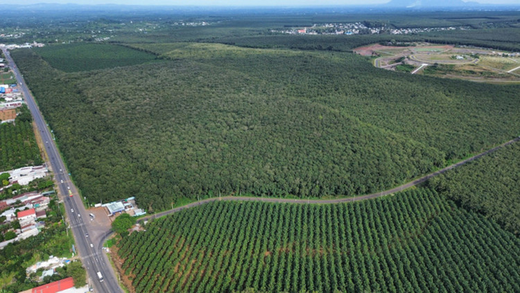 Ảnh chỉ mang tính minh họa. Nguồn Internet