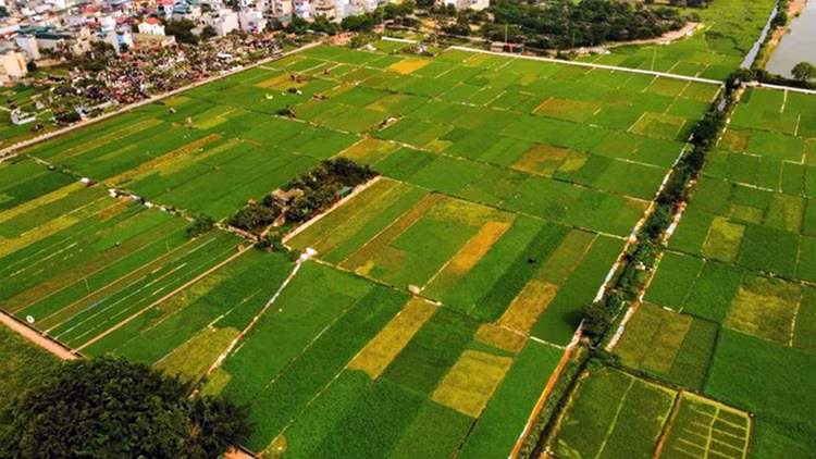 Ảnh chỉ mang tính minh họa. Nguồn Internet