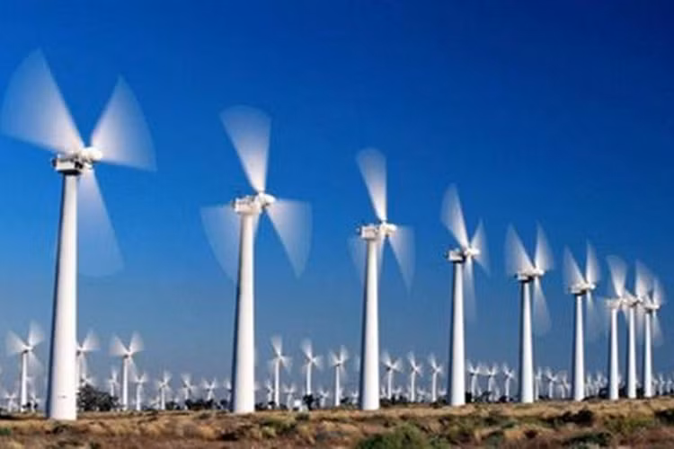 Ảnh chỉ mang tính minh họa. Nguồn Internet