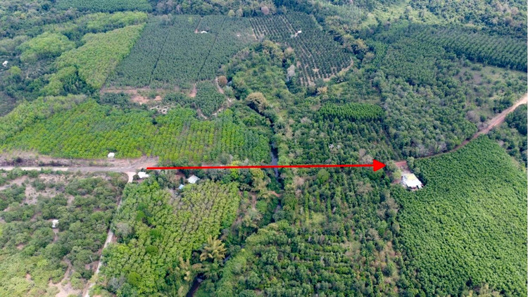 Tỉnh Đồng Nai và Bình Phước thống nhất lựa chọn phương án kết nối từ thành phố Đồng Xoài đi theo đường tỉnh ĐT.753, qua cầu Mã Đà sang địa phận tỉnh Đồng Nai