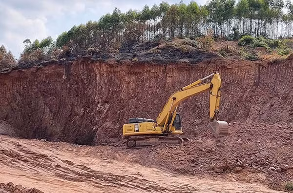 Ảnh chỉ mang tính minh họa. Nguồn Internet