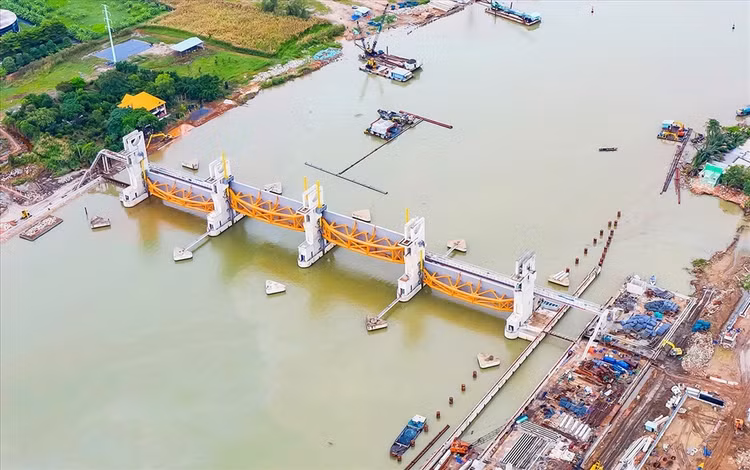 Cống ngăn triều Mương Chuối (huyện Nhà Bè) dài hơn 200m với 4 cửa van ngăn triều nặng từ 230 - 320 tấn đã được lắp. Ảnh: LĐ