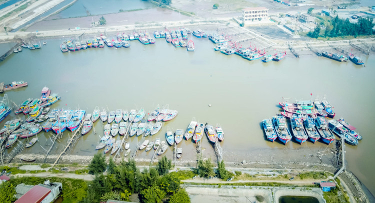 Ảnh chỉ mang tính minh họa. Nguồn Internet