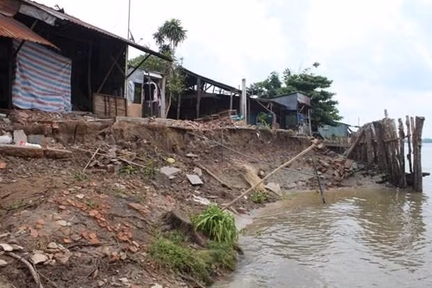 Ảnh chỉ mang tính minh họa. Nguồn Internet