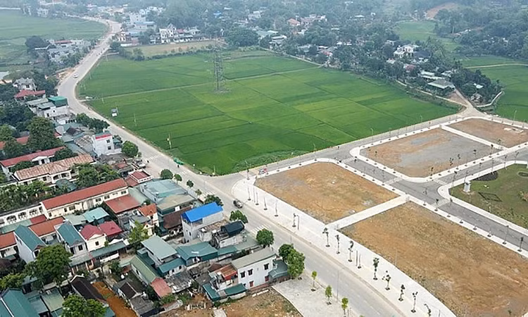 Ảnh chỉ mang tính minh họa. Nguồn Internet