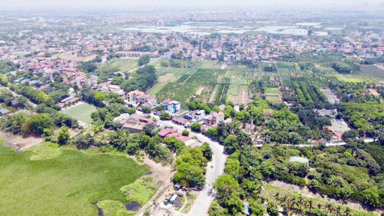 Ảnh chỉ mang tính minh họa. Nguồn Internet