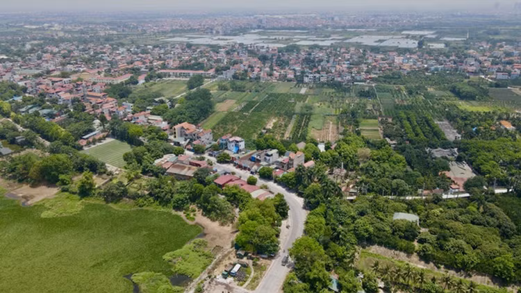 Ảnh chỉ mang tính minh họa. Nguồn Internet