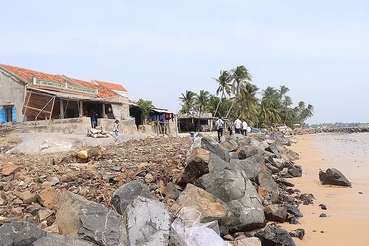 Ảnh chỉ mang tính minh họa. Nguồn Internet