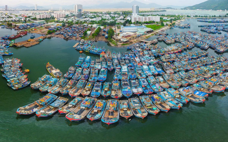 Ảnh chỉ mang tính minh họa. Nguồn Internet