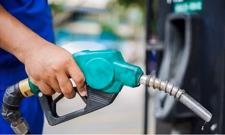 Ảnh chỉ mang tính minh họa. Nguồn Internet