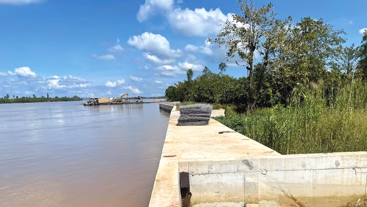 Dự án Kè Hổ Cứ tại tình Đồng Tháp có tổng mức đầu tư 287,404 tỷ đồng, quy mô 2,7 km. Ảnh: Như Nguyệt