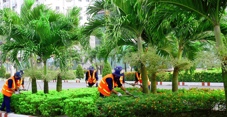 Ảnh chỉ mang tính minh họa. Nguồn Internet