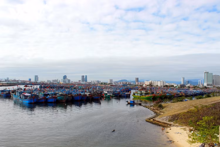 Ảnh chỉ mang tính minh họa. Nguồn Internet